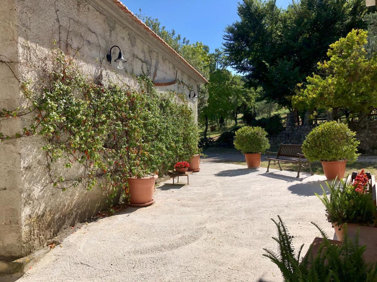 הוילה Castelcivita Il Casolare Degli Alburni מראה חיצוני תמונה